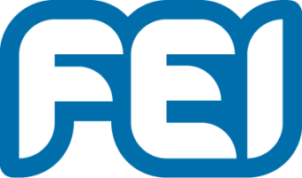 AVA FEI